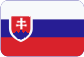 Počítačové sítě Slovensky